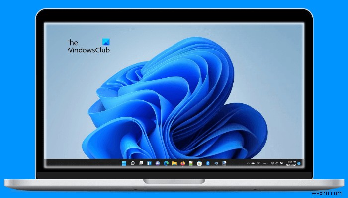 White edges and borders around laptop screen