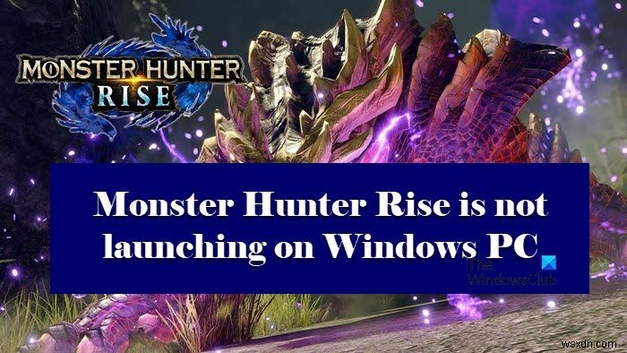 Monster Hunter Rise is not launching or crashing on launch on Windows PC