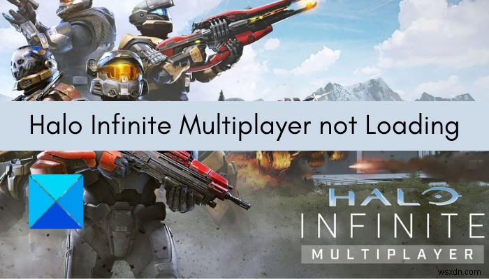 Halo Infinite Multiplayer not Loading on Windows PC