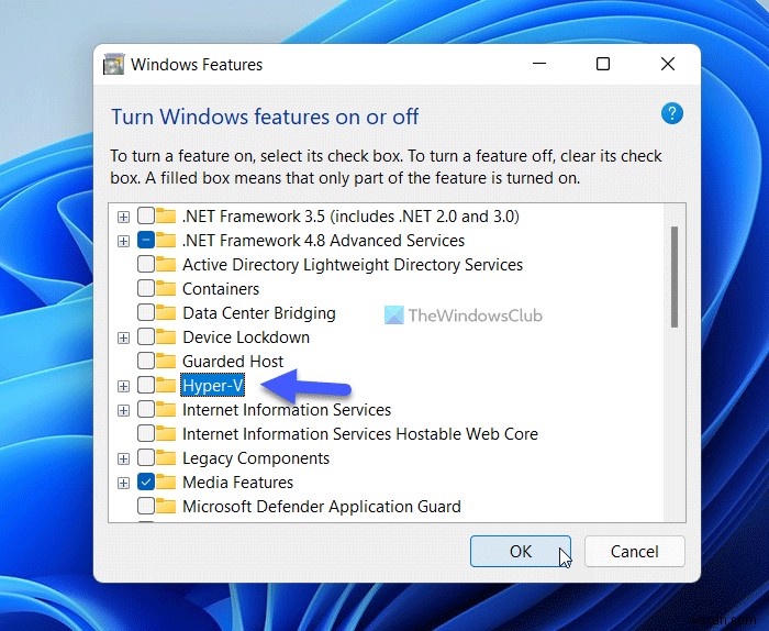 VT-x is not available (VERR_VMX_NO_VMX)