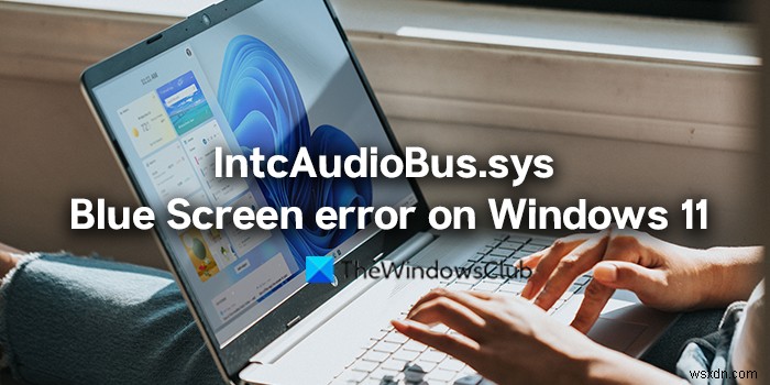 Fix IntcAudioBus.sys Blue Screen error on Windows 11