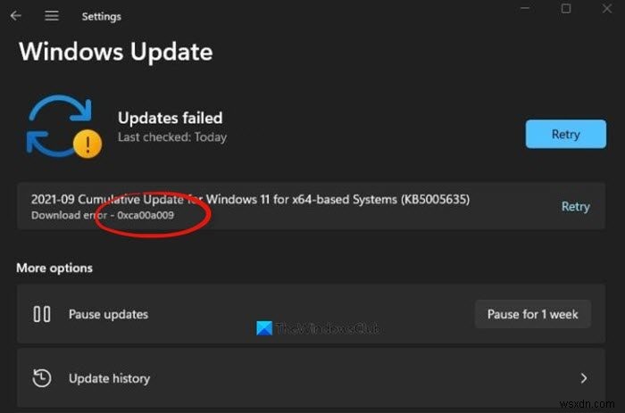 Fix Windows Update Error 0xCA00A009 on Windows 11