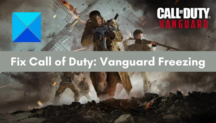 Call of Duty Vanguard keeps freezing or crashing on PC