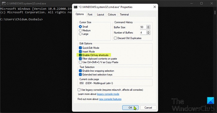 How to Enable CTRL+C & CTRL+V in Command Prompt in Windows 11/10