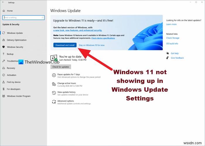 Windows 11 not showing up in Windows Update Settings