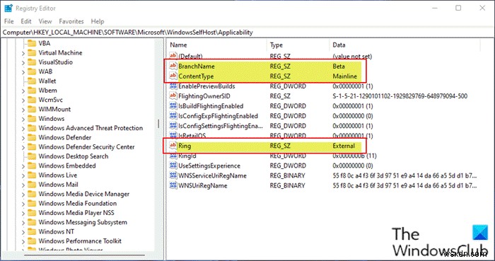 Windows 11 not showing up in Windows Update Settings