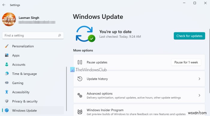 Windows Update Settings in Windows 11