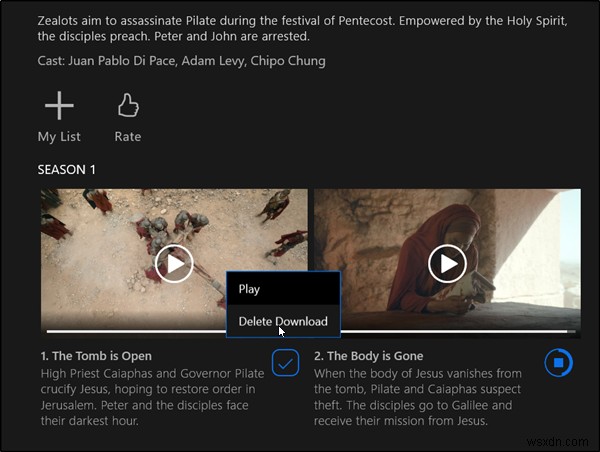 How to delete downloaded Netflix Offline Content from Windows 11/10