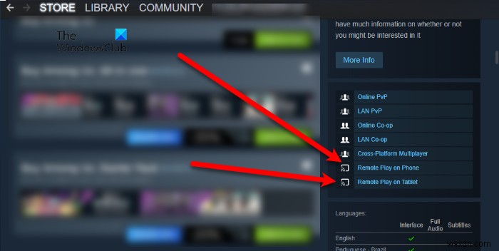 Steam Remote Play not working on Windows 11/10