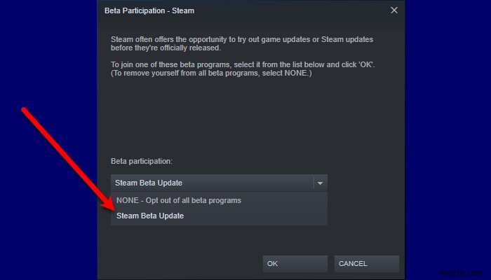 Steam Remote Play not working on Windows 11/10