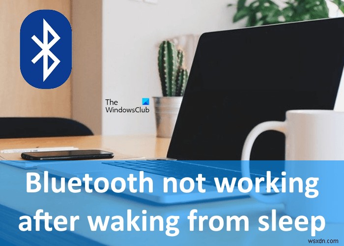 Fix Bluetooth not working after waking from Sleep
