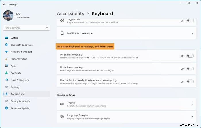 Windows On-Screen Keyboard Options and Settings in Windows 11/10