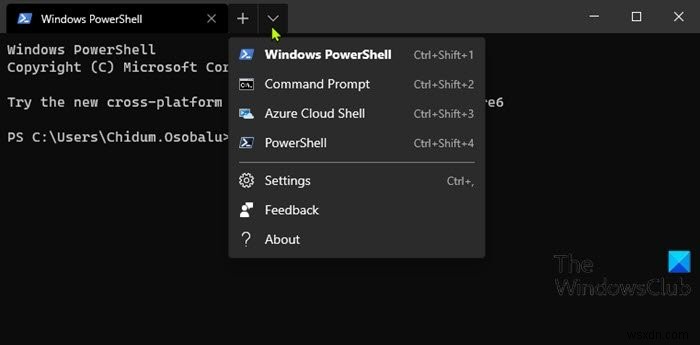 How to use Windows Terminal in Windows 11/10: Beginners Guide