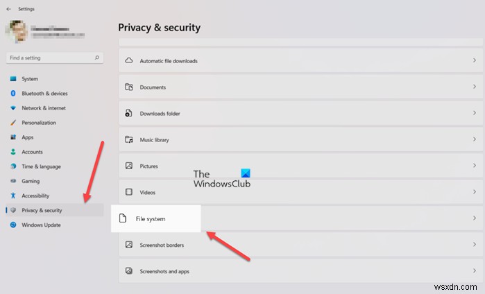 How to prevent or allow App access to File System in Windows 11/110