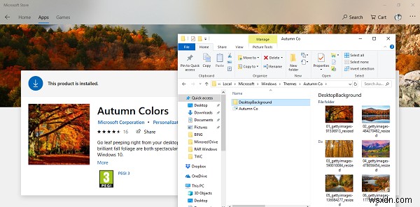 Where does Windows 11/10 store Themes?