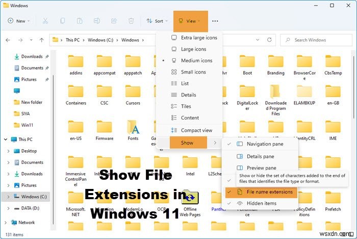 How to show File Extensions in Windows 11/10