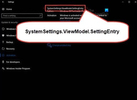 Fix SystemSettings.ViewModel.SettingEntry or NetworkUX.ViewModel.SettingEntry error
