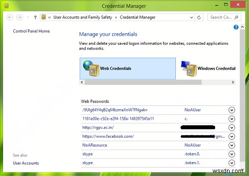 Credential Manager not working properly in Windows 11/10