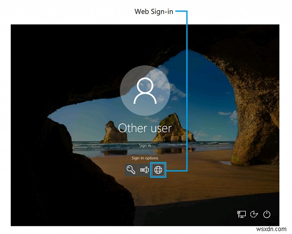 Web sign-in, Faster sign-in, Remote Desktop with Biometrics in Windows 11/10
