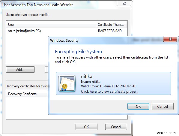 How to open an Encrypted File if Access Is Denied in Windows 11/10
