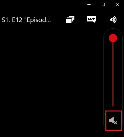Netflix app volume remaining at 100%