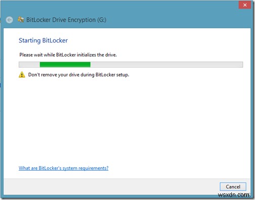 Secure portable storage devices using BitLocker To Go in Windows 11/10