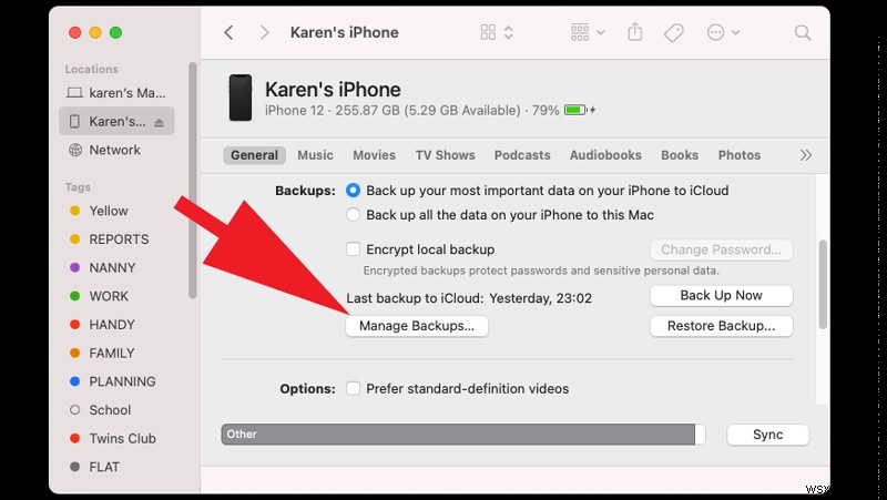 How to delete System storage on Mac