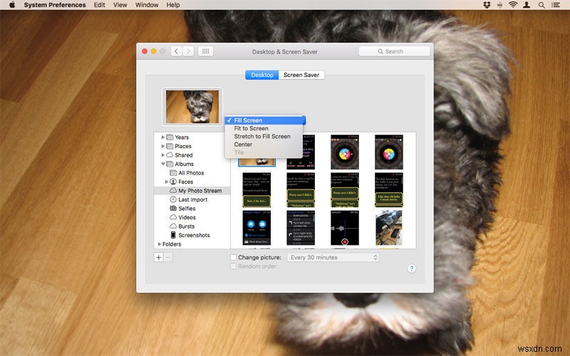 How to use System Preferences settings on a Mac