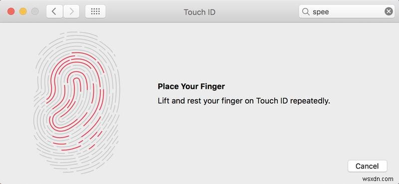 How to use System Preferences settings on a Mac