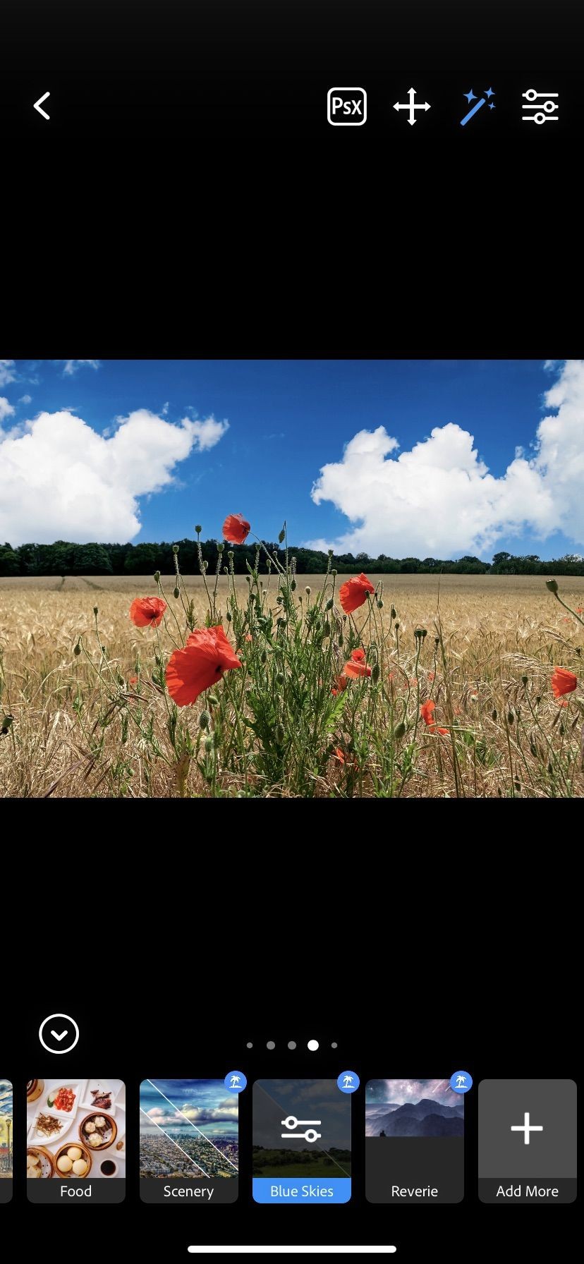 How to get Insta-style photo filters with the new Photoshop Camera app