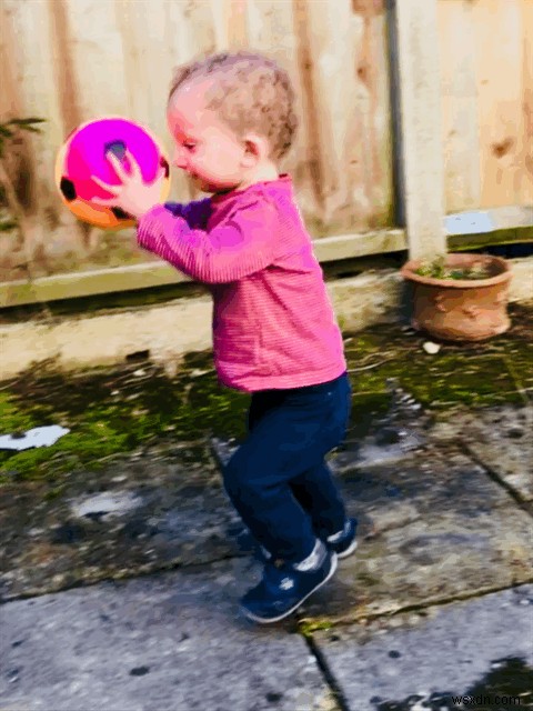 How to make a GIF on Mac