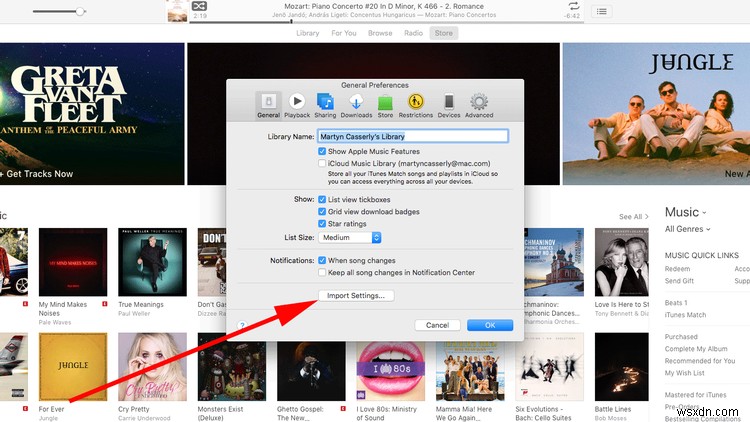 How to rip iTunes to MP3