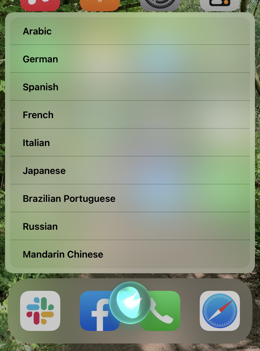 How to translate text and speech on iPhone