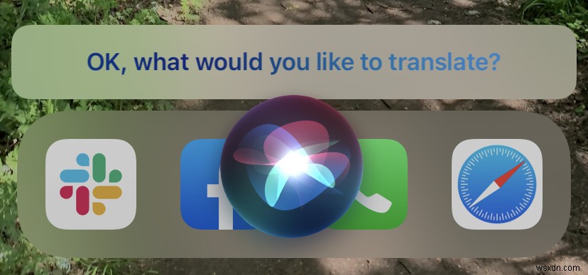 How to translate text and speech on iPhone