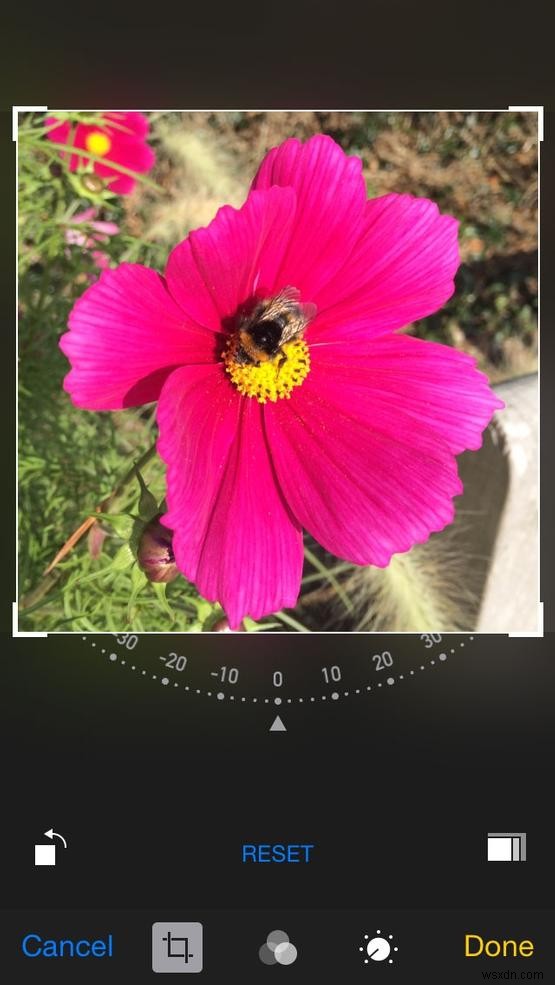 iPhone camera tips to take better photos