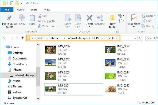 [4 Ways] Transfer Photos from iPhone to Windows 7/8/10 Desktop