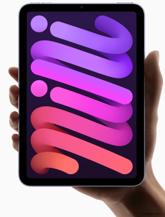 How to Backup iPad Mini 4/5/6 to Computer and iCloud?