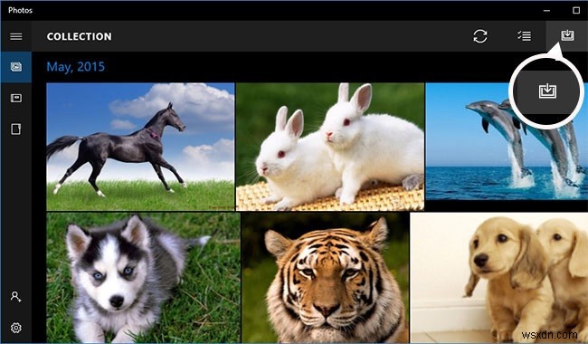 Import Photos from iPhone to Windows 10: 4 Smart Solutions for Users