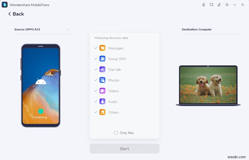 How to Get Approved for the WhatsApp Business API 2022