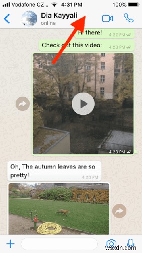 How to Get WhatsApp Chat History