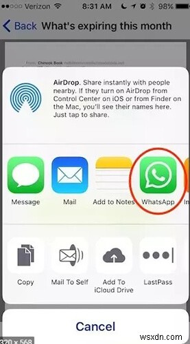 How to Send Photos from WhatsApp to Email: Ultimate Guide