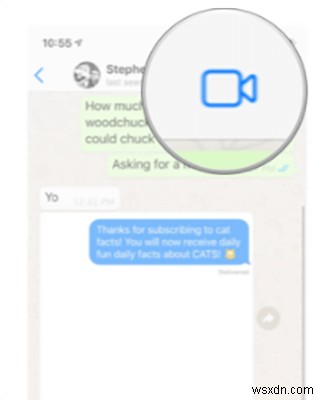 How to do a Video Call on WhatsApp?