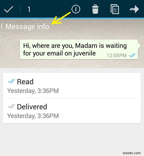 How to Remove Blue Tick From WhatsApp on Android and iOS Devices