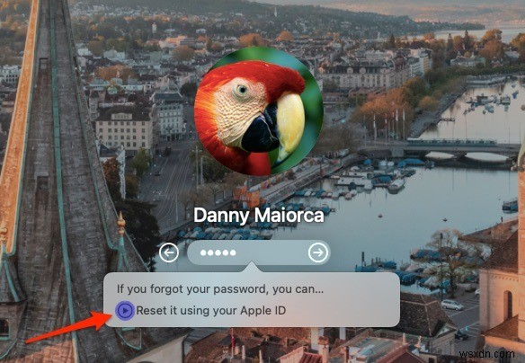 Forgot Your Mac Password? Here’s What to Do
