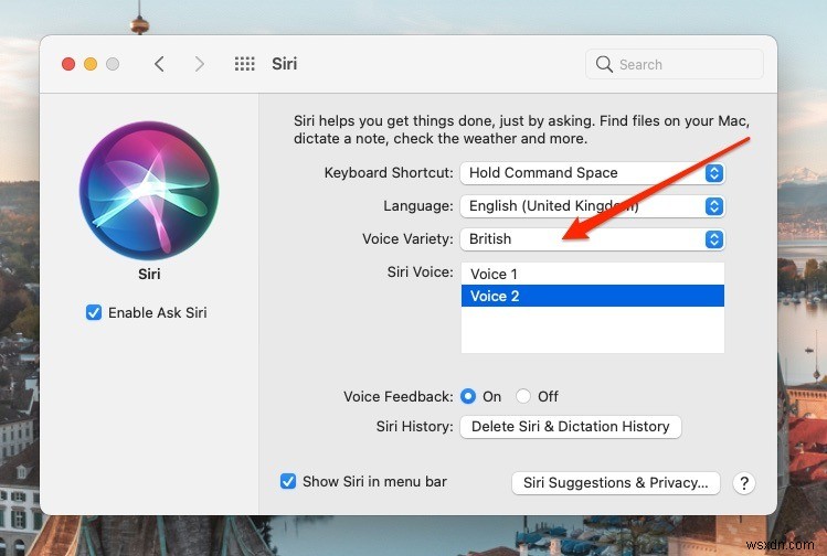 How to Change Siri Voice and Language on Mac and iPhone