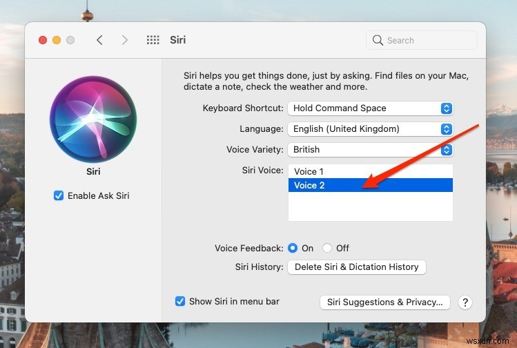 How to Change Siri Voice and Language on Mac and iPhone
