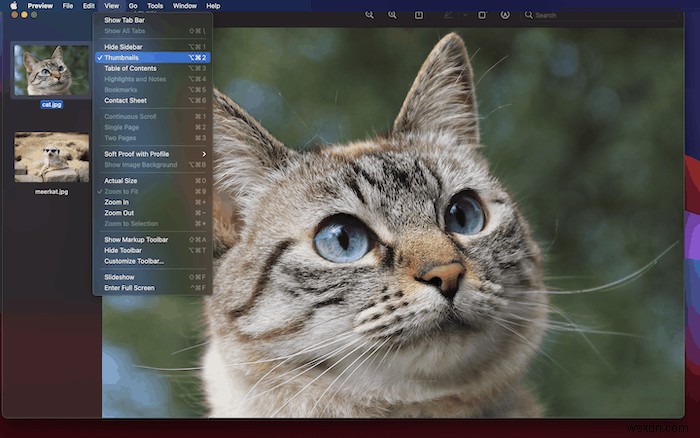 How to Combine Scanned Documents into PDF on macOS