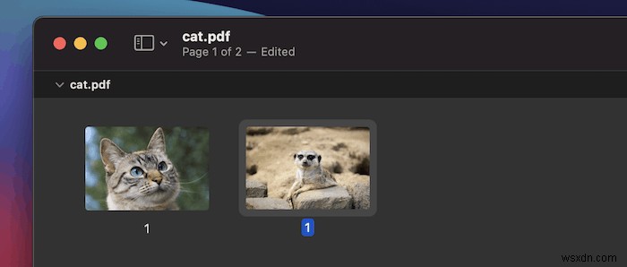 How to Combine Scanned Documents into PDF on macOS