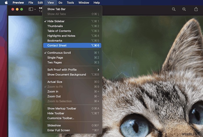 How to Combine Scanned Documents into PDF on macOS