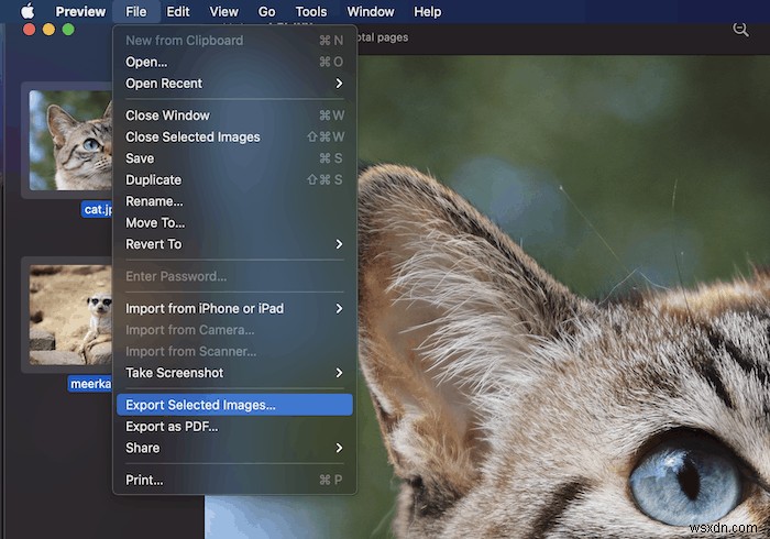 How to Combine Scanned Documents into PDF on macOS